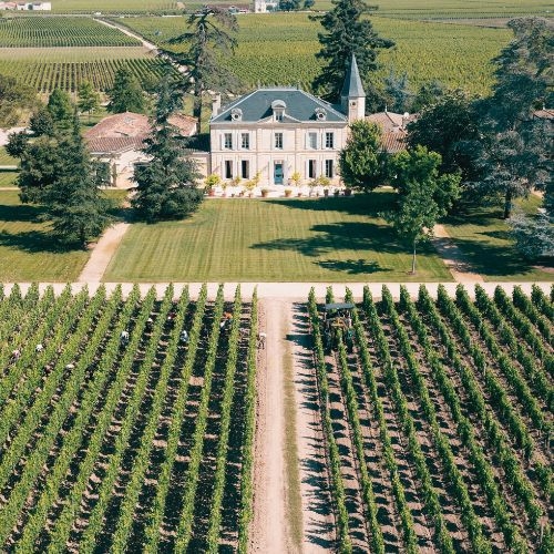chateau and fields