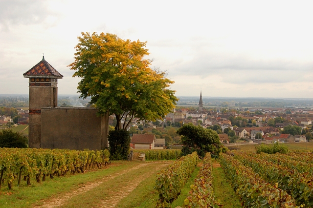  green and yellow fields with an old tower in french village of meursault